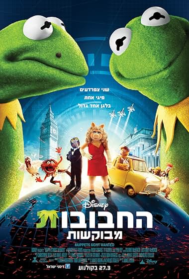 החבובות מבוקשות